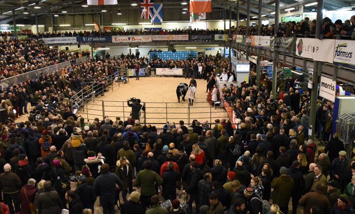 Royal Welsh Winter Fair